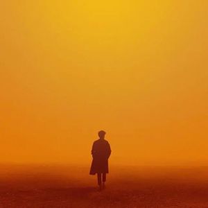 抹茶软件看女生全身隐私
