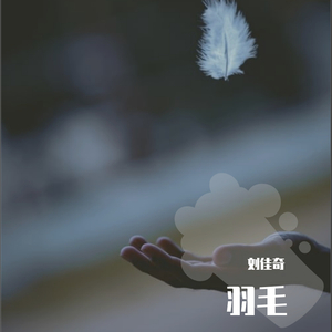 抹茶软件看女生全身隐私
